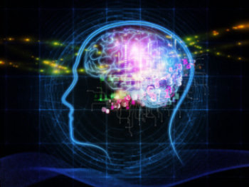 bcbl neurociencia