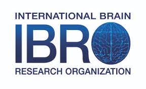 Sponsor IBRO