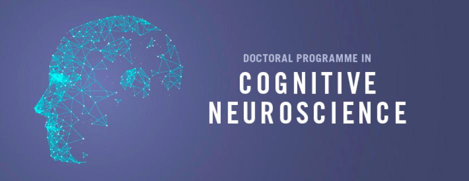 phd in cognitive neuroscience uk
